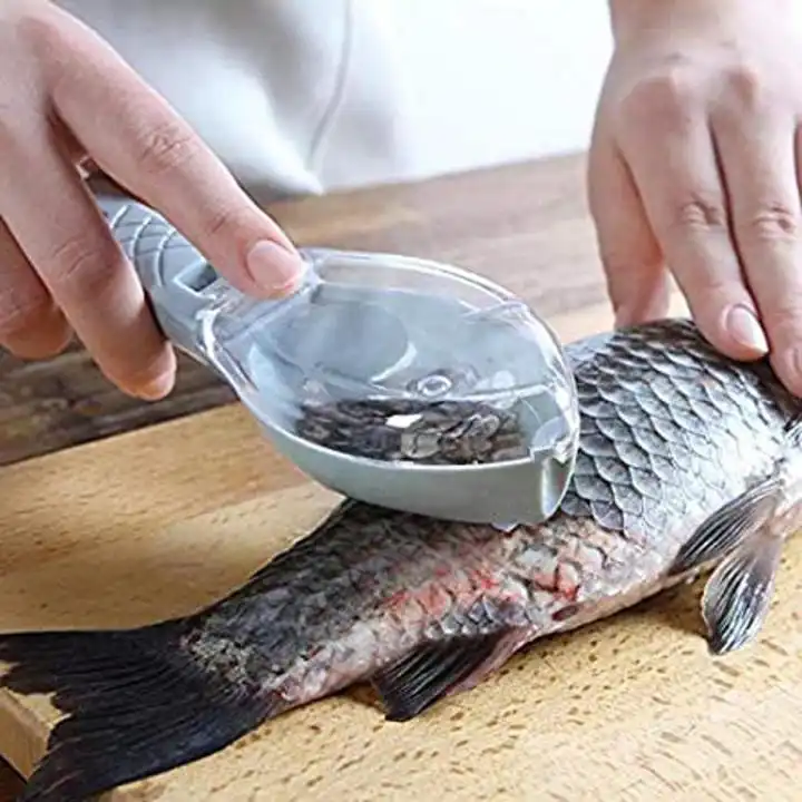 Fish Clean Scales