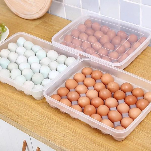 Egg Storage Box